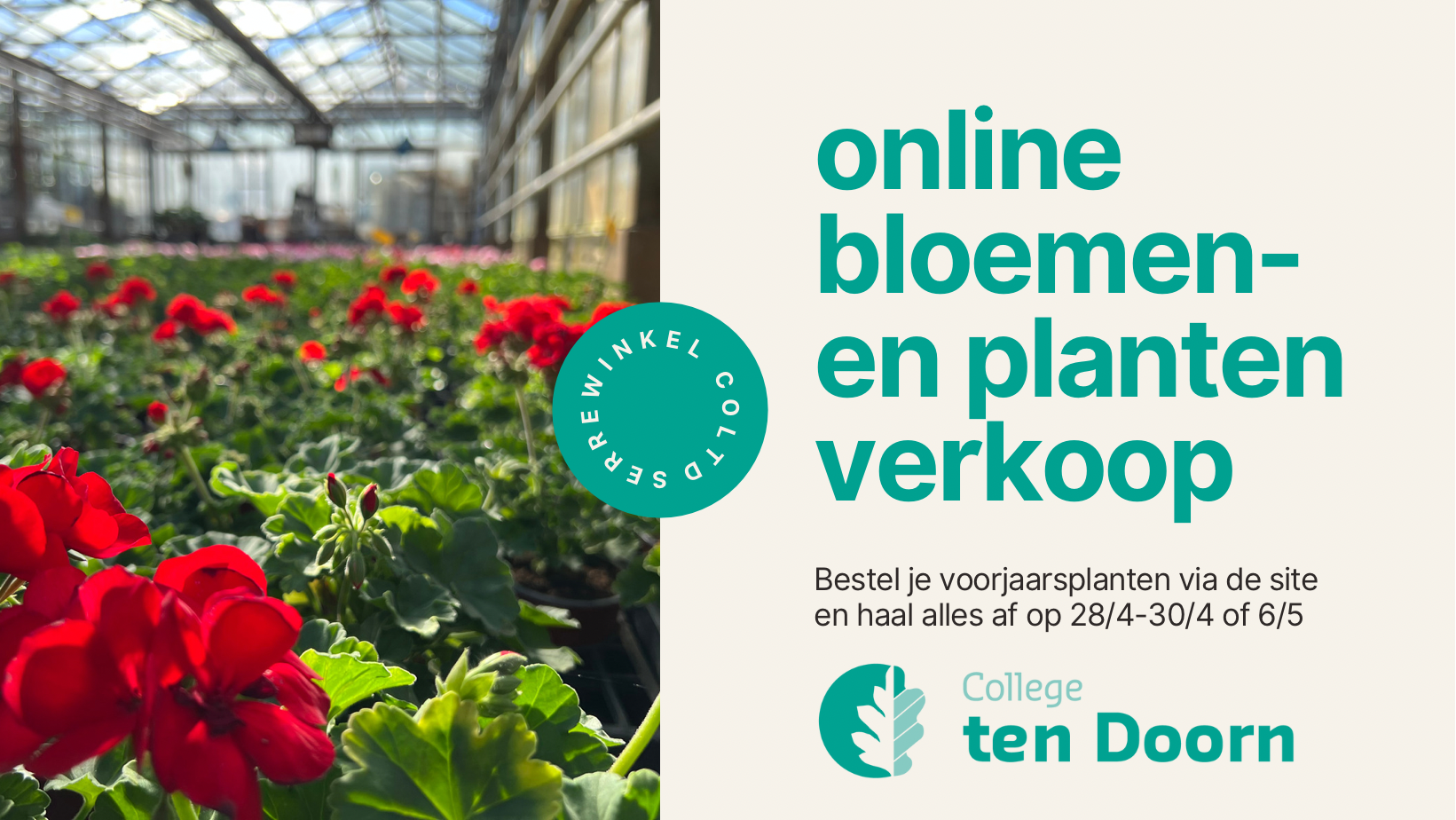 serre winkel online verkoop juist